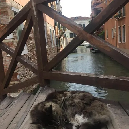 Mori 3, In Centro Storico Di Lejlighed Venedig